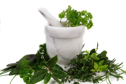 image source tanamanherbal