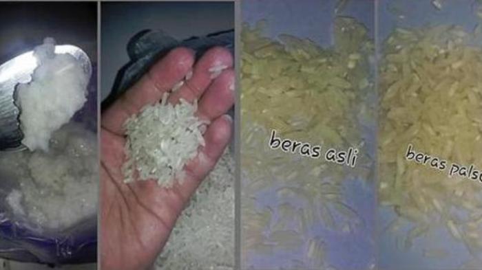 Beras Plastik