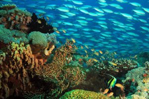 raja ampat