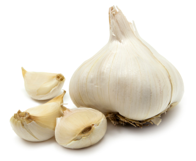 bawang putih