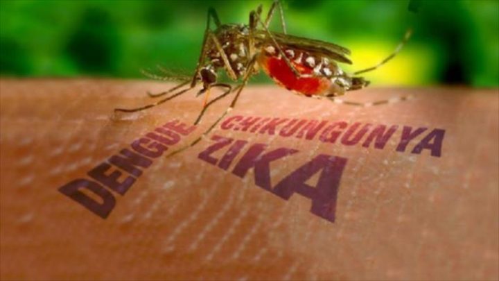 Virus Zika