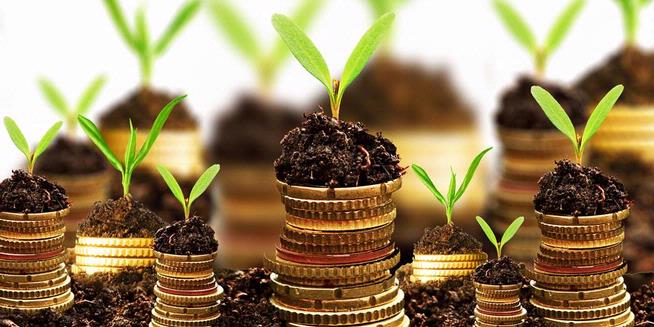 kiat investasi