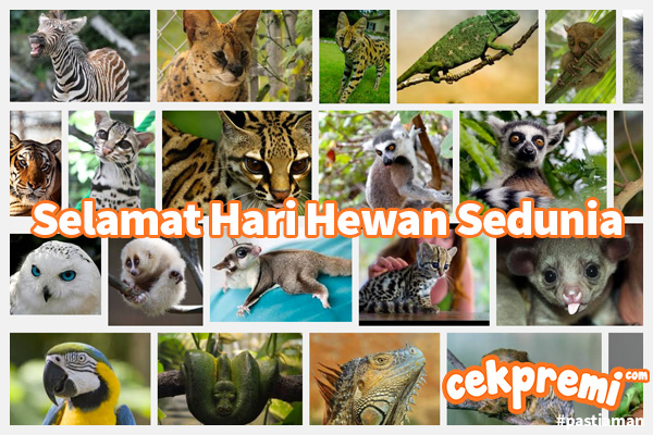 Lindungi Fauna Langka Dengan Ikut Merayakan Hari Hak Asasi Hewan