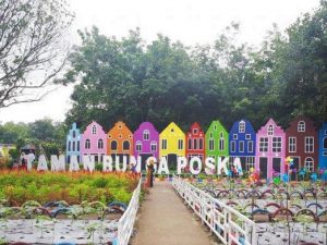 Wisata Taman Bunga di Indonesia, Instagramable Banget!