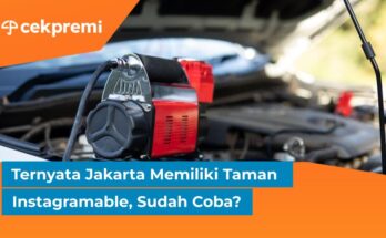 Ternyata Jakarta Memiliki Taman Instagramable, Sudah Coba? 1 taman di jakarta