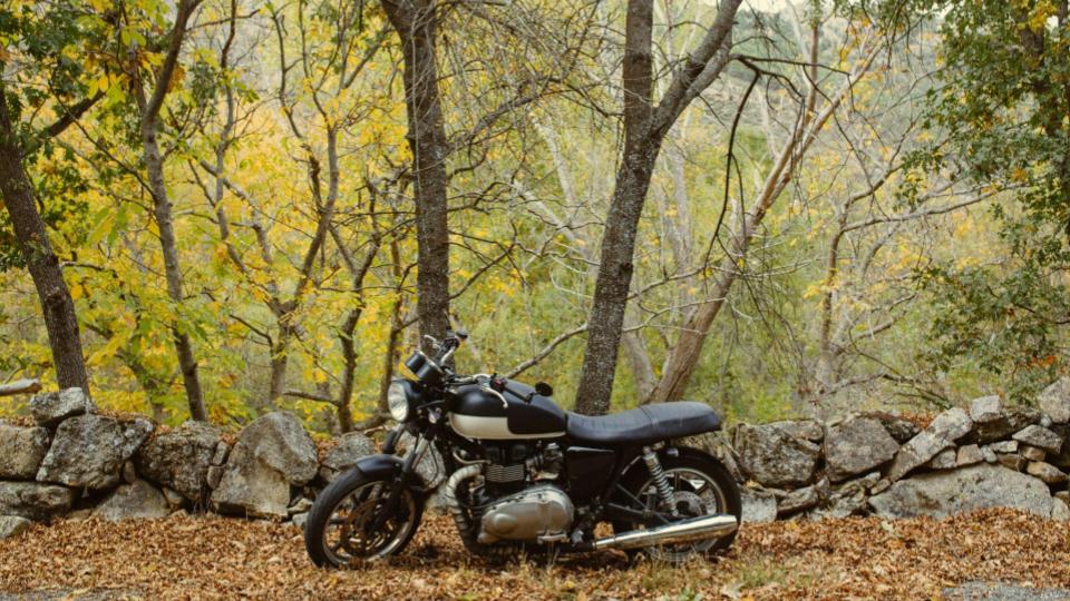 triumph