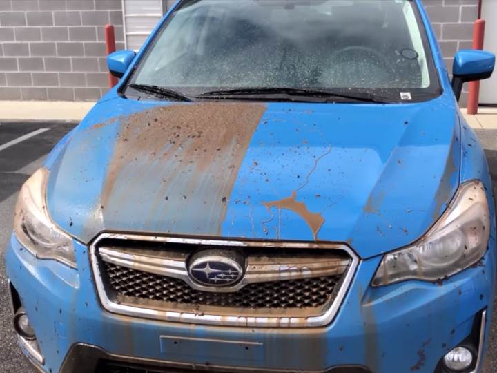 Ternyata Inilah Manfaat Coating Mobil Yang Terkenal Mahal!