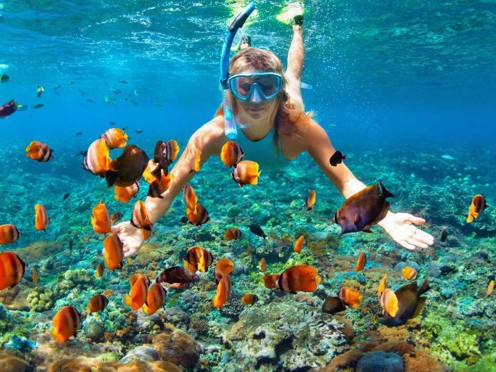 snorkeling