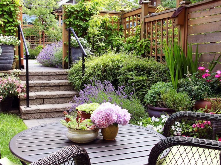 Mau Rumah Makin Sejuk? Ini 10 Ide Tanaman Hias Untuk Taman!