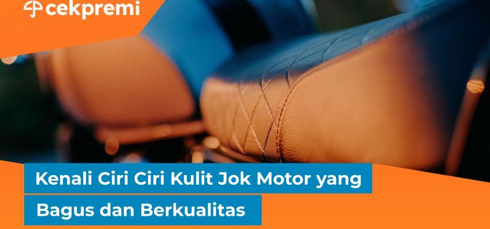 kulit jok motor