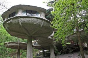 rumah jamur
