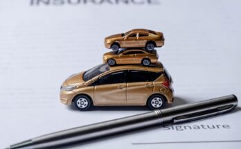 asuransi mobil tlo