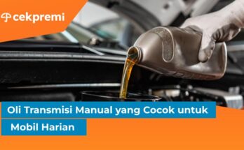 oli transmisi
