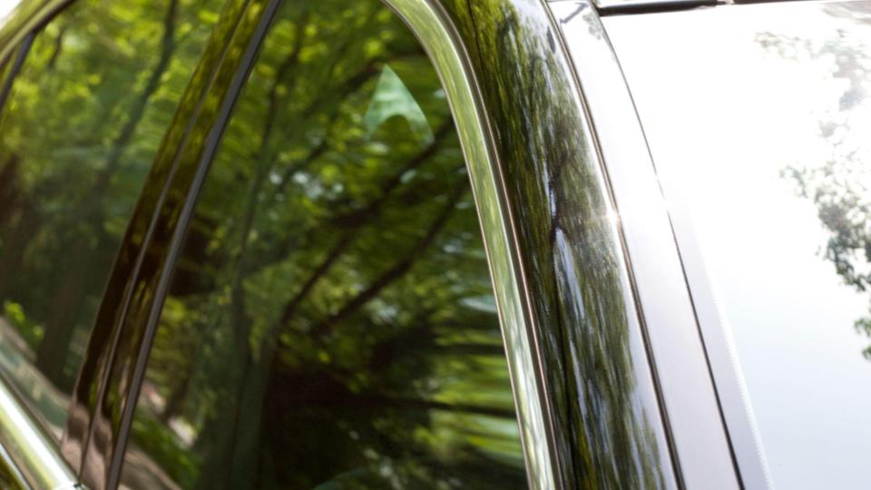 door visor