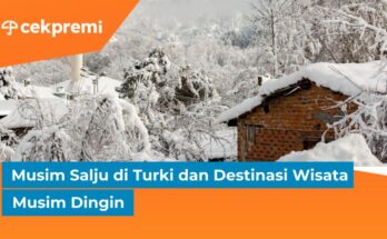 musim salju di turki