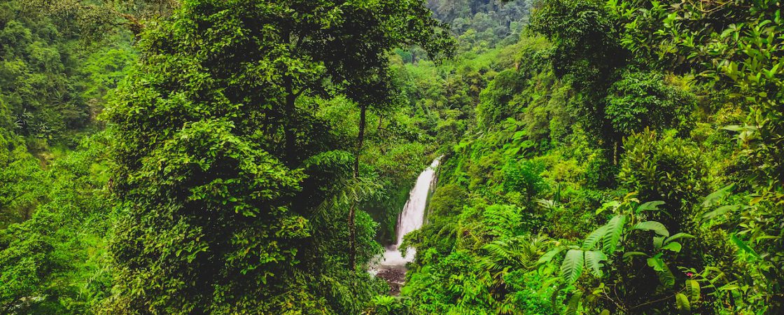 curug kulon progo