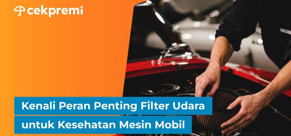 filter udara