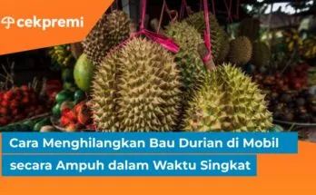 Cara Menghilangkan Bau Durian di Mobil secara Ampuh dalam Waktu Singkat 1 Cara Menghilangkan Bau Durian di Mobil